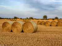 Interfol AG - Klicken Sie, um das Bild 6 in einer Lightbox vergrössert darzustellen