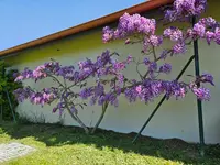 VINCENT ecopaysage