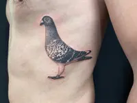 Raketenwacholder Tattoo und Piercing
