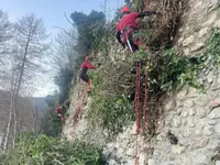 Passion Forêt SA