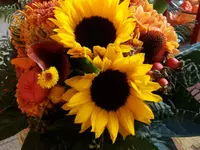 Blumen Müller