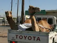 Kolchis Verlag und Reisen AG / Treffpunkt Orient