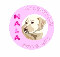 Pressing Nala Sàrl - Nala Blanchisserie-Logo