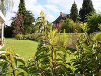 Schumacher Andi Gartenbau GmbH