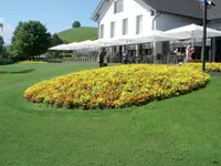 Blumen Bürgler Hirzel - Klicken Sie, um das Bild 2 in einer Lightbox vergrössert darzustellen