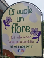 Ci vuole un fiore-Logo