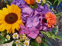 Blumen und Pflanzen