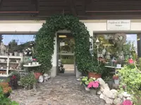 Töpferei u- Blumen Steiner GmbH