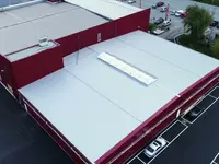 Elepress Bau AG