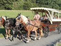 Stall Vogelsang