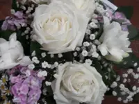Fiori Mela Sagl