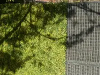 CIP Swiss Sàrl