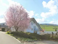 onesta Immobilien Treuhand AG