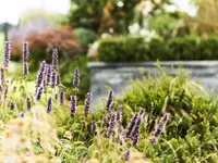Garten und Bau Bernhardsgrütter AG