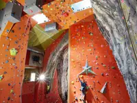 Gecko escalade Sàrl