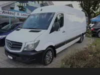 Reinigung und Renovation Antohi