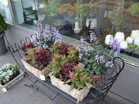 Blumen Art