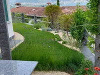 Giardiniere Hagmann Di Carlo e Pichierri SAGL