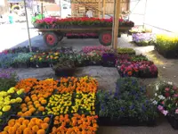 Bonnet Horticulteur / Paysagiste Sàrl