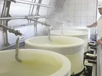 Dorf-Chäsi Hergiswil AG
