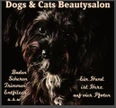 Dogs & Cats Beautysalon