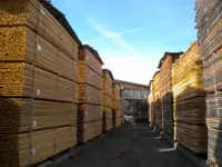 Bachmann Sägerei AG