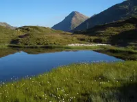 Cambrena - Klicken Sie, um das Bild 22 in einer Lightbox vergrössert darzustellen