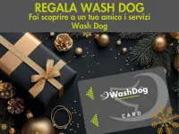 WashDog Bellinzona