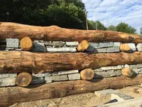 Pasinelli cura alberi Sagl - Klicken Sie, um das Bild 8 in einer Lightbox vergrössert darzustellen