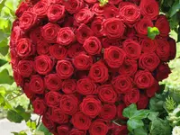Zimmermann Flaach AG Blumen & Gartenbau