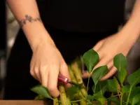 Floranum - blühendes Handwerk - Klicken Sie, um das Bild 14 in einer Lightbox vergrössert darzustellen