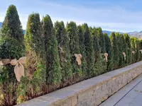 GartenTeam Inäbnit AG