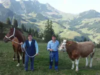 Chees-Stübli - Klicken Sie, um das Bild 4 in einer Lightbox vergrössert darzustellen