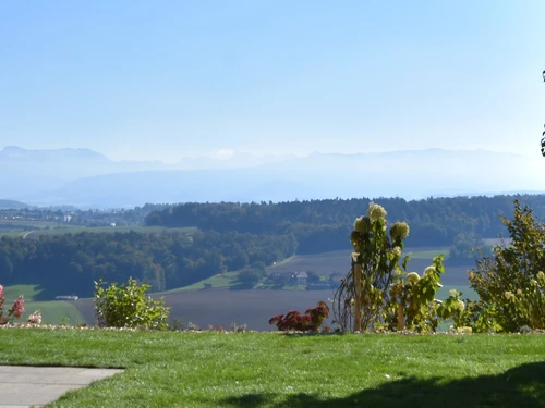 Grün & Blau Gärten und Teiche GmbH - Klicken, um das Panorama Bild vergrössert darzustellen