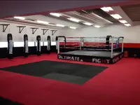 Ultimate Fight