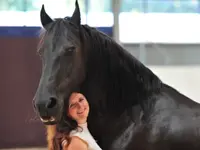 Equicoaching Equites Sàrl
