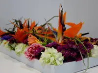 Fleuriste la Roseraie Nice