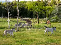 Zoo Zürich AG