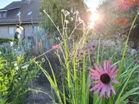 Bärtschi Gartenbau AG