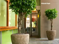 Widler Gartenbau + Floristik AG