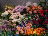 Blumen Iseli