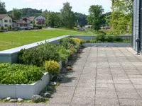 Brenner AG Gartenbau