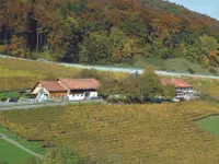 Speiserestaurant Maienhalde - Klicken Sie, um das Bild 7 in einer Lightbox vergrössert darzustellen