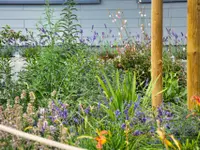 Schneebeli Blumen & Garten