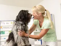 Kleintierklinik am See - Klicken Sie, um das Bild 1 in einer Lightbox vergrössert darzustellen