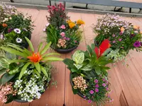 GIARDINI DOS SANTOS CANIÇO
