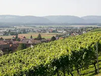 Besenwirtschaft Fasshotel