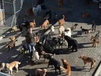 Tierferienheim Gredig