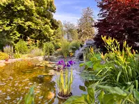 AQVA Irrigation & Outdoor Lighting Solutions