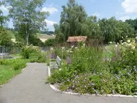 Altersheim Schleitheim - Klicken Sie, um das Bild 12 in einer Lightbox vergrössert darzustellen